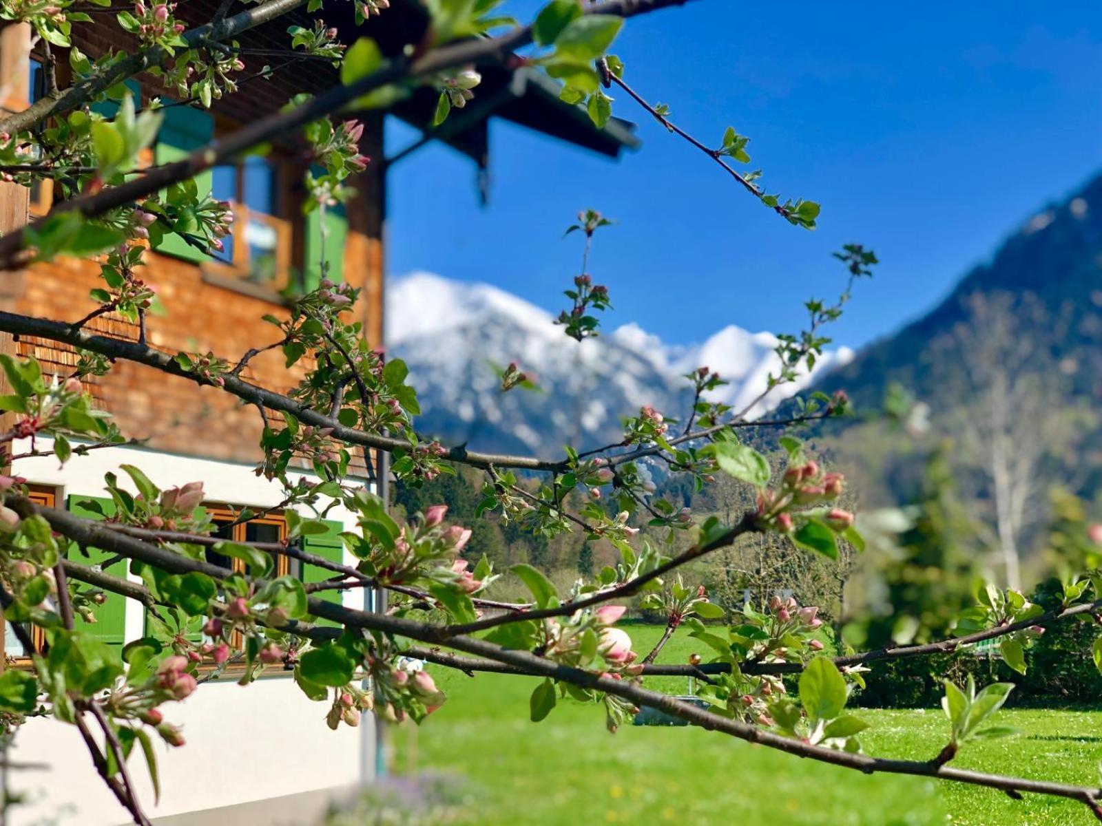 Landhaus Berktold Oberstdorf Dış mekan fotoğraf