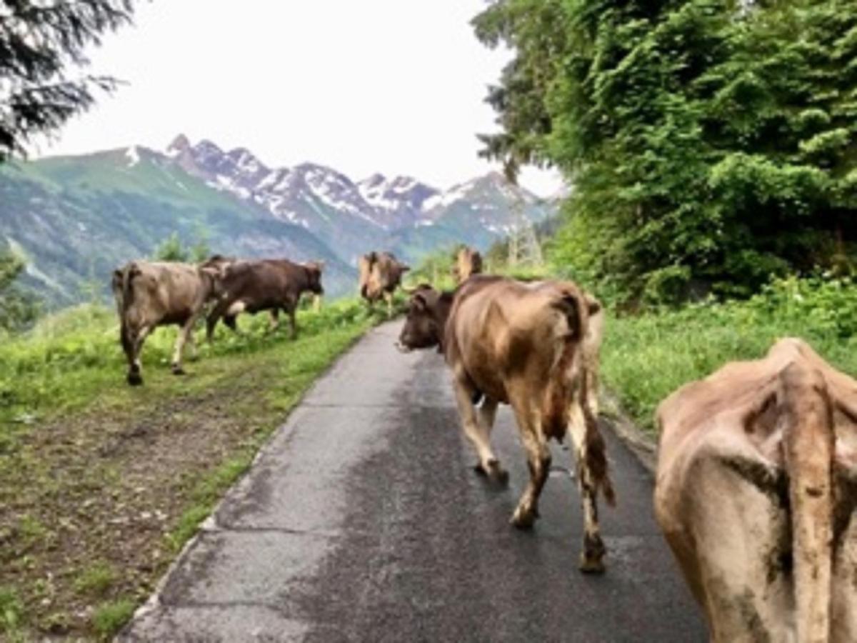 Landhaus Berktold Oberstdorf Dış mekan fotoğraf